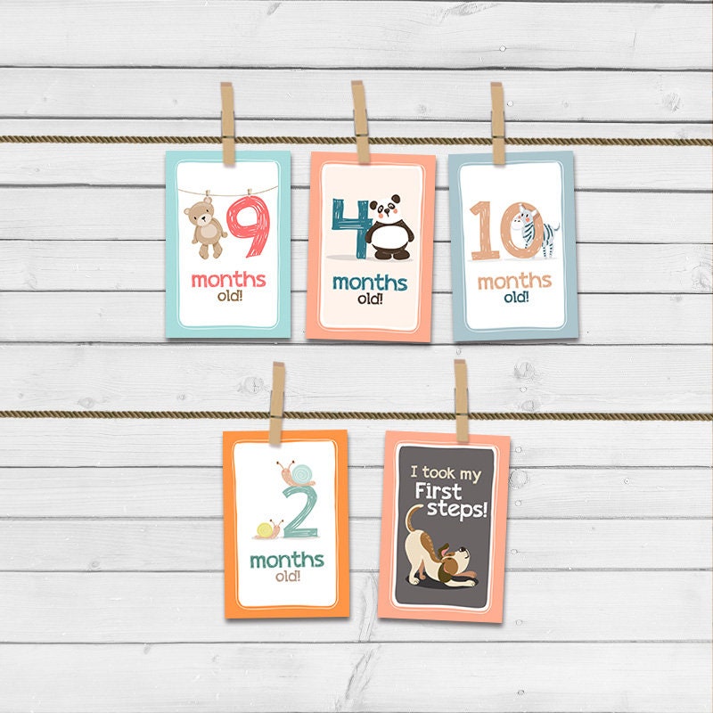 Printable Baby Milestone Cards Animals Printable Monthly Baby's first gift Photo prop PRINTABLE Milestone Instant download 5x7 JPG PDF