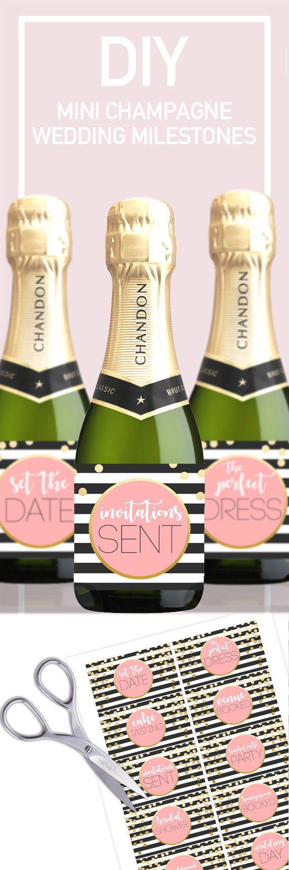 Mini Champagne labels Wine Labels Milestone champagne bottle Wedding Wine Engagement gifts for couple Wedding planning checklist PRINTABLE