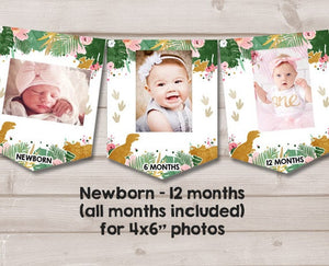 Dinosaur First birthday banner Monthly Photo Banner Dinosaur Banner Gold Pink Girl Prehistoric Dinosaur Party PRINTABLE Digital 0146