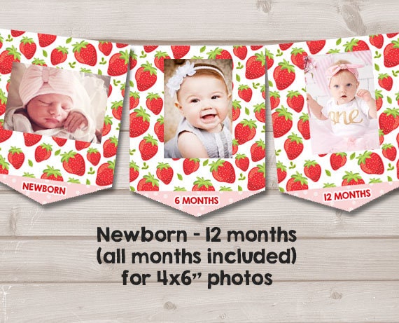 Strawberry First birthday banner Monthly Photo Banner Strawberry Monthly Banner Berry Sweet 1st Birthday Decor Girl PRINTABLE Digital 0091