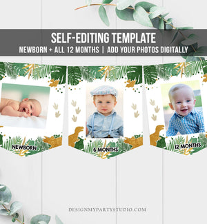 Editable Dinosaur Monthly Photo Banner Boy First Birthday Banner Gold Green Wild One Safari Animals Corjl Download Template Printable 0146