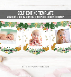 Editable Dinosaur Monthly Photo Banner Girl First Birthday Banner Gold Pink Wild One Safari Animals Corjl Download Template Printable 0146