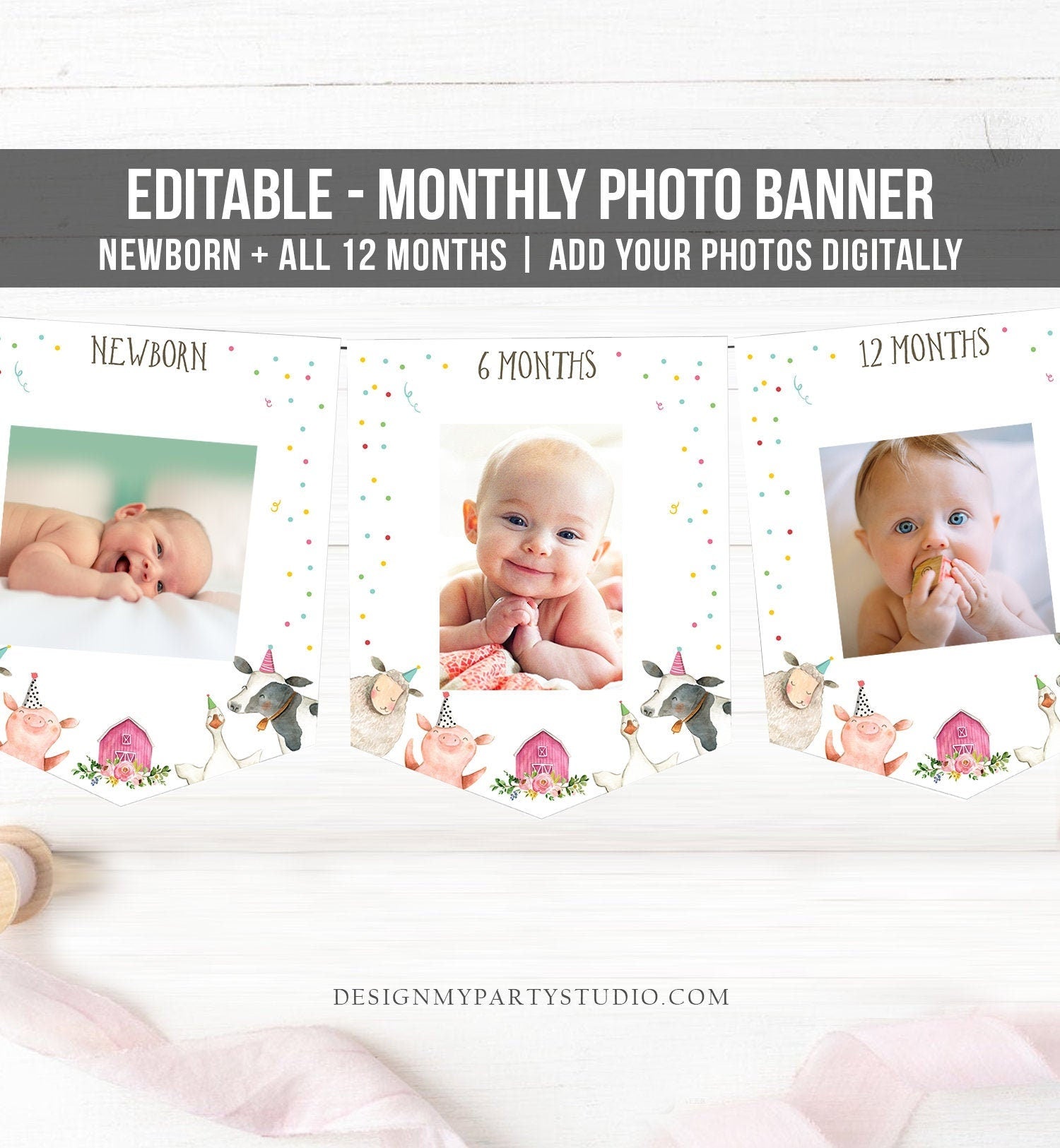 Editable Pink Farm Animals First Birthday Banner Monthly Photo Banner Barnyard Bash Confetti Decor Floral Download PRINTABLE Corjl 0155