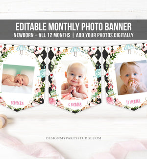 Editable Alice in Onederland First Birthday Banner Monthly Photo Banner Wonderland Tea Party 1st Blue Girl Corjl Template Printable 0350