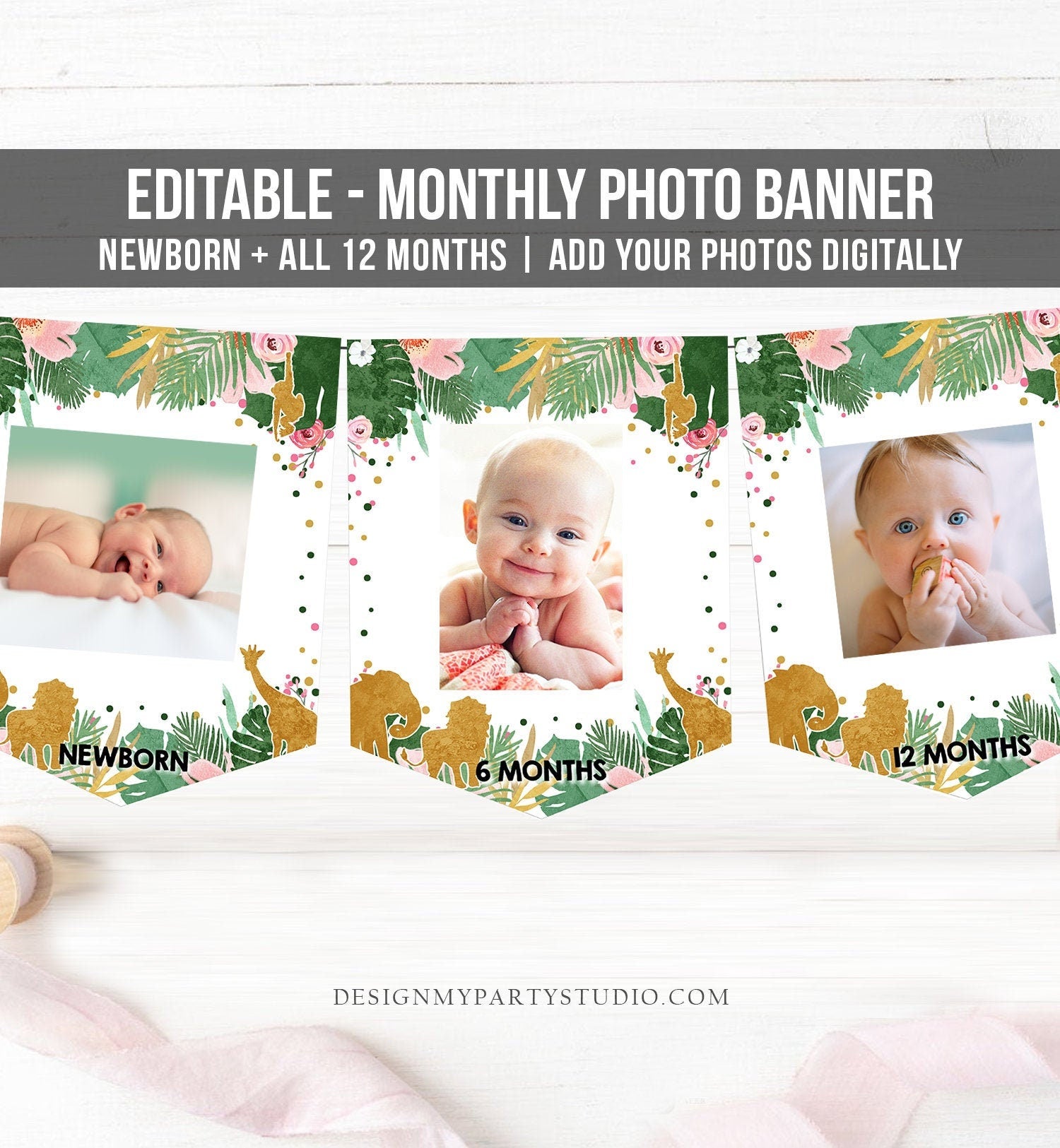 Editable Safari Animals Monthly First Birthday Banner Photo Banner Gold Green Boy Jungle Zoo Wild One Corjl Download Template Printable 0016