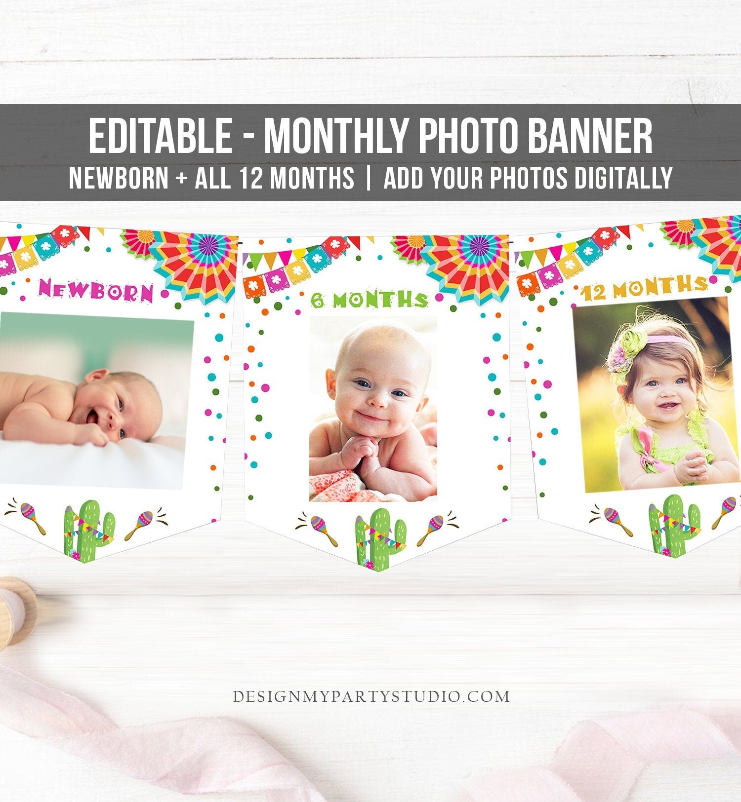 Editable Fiesta Monthly Photo Banner First Birthday Banner Boy Girl Fiesta Birthday Mexican Cactus Decor Digital Download Template 0045