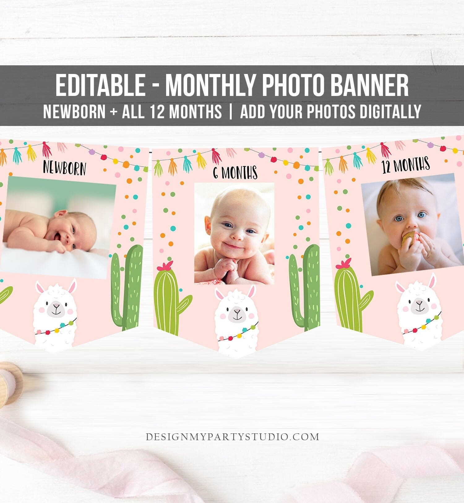 Editable Llama Monthly Photo Banner First Birthday Banner Llama Photo Banner 1st Girl Pink Fiesta Decor Cactus Corjl Template Printable 0079