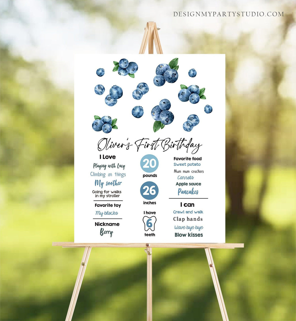 Editable Berry First Birthday Milestones Sign Blueberry First Birthday Boy Farmers Market Blueberries Download Template Printable Corjl 0399