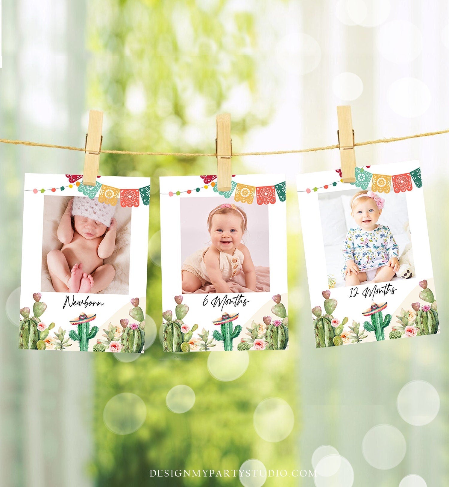 Editable Fiesta Monthly Photo Banner First Birthday Banner Boy Girl Fiesta Birthday Mexican Cactus Desert Decor Summer Corjl Template 0404