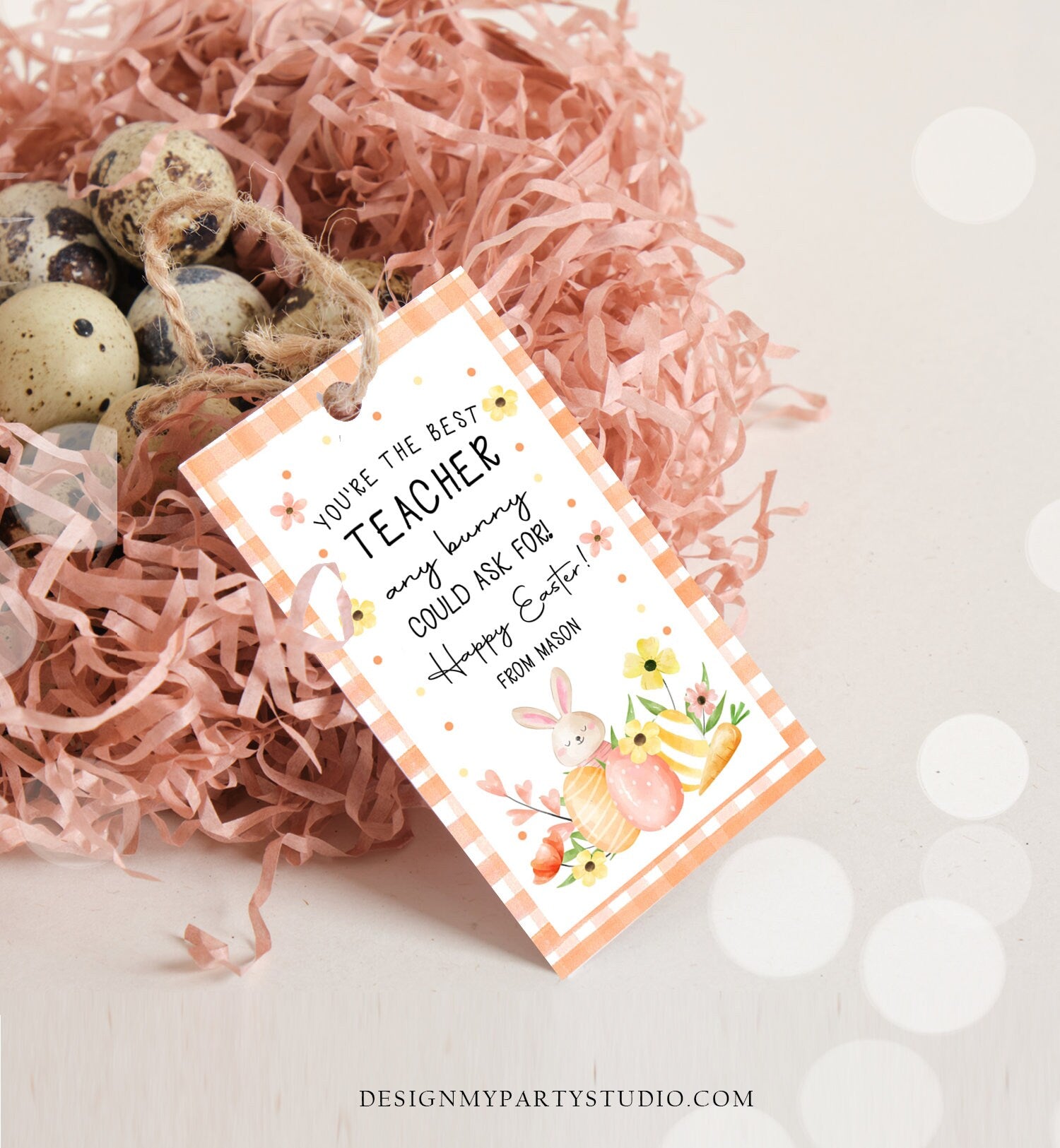 Editable Teacher Gift Tags Easter You're the Best Teacher Any Bunny Could Ask For Favor Tags Teacher Appreciation Digital PRINTABLE 0449