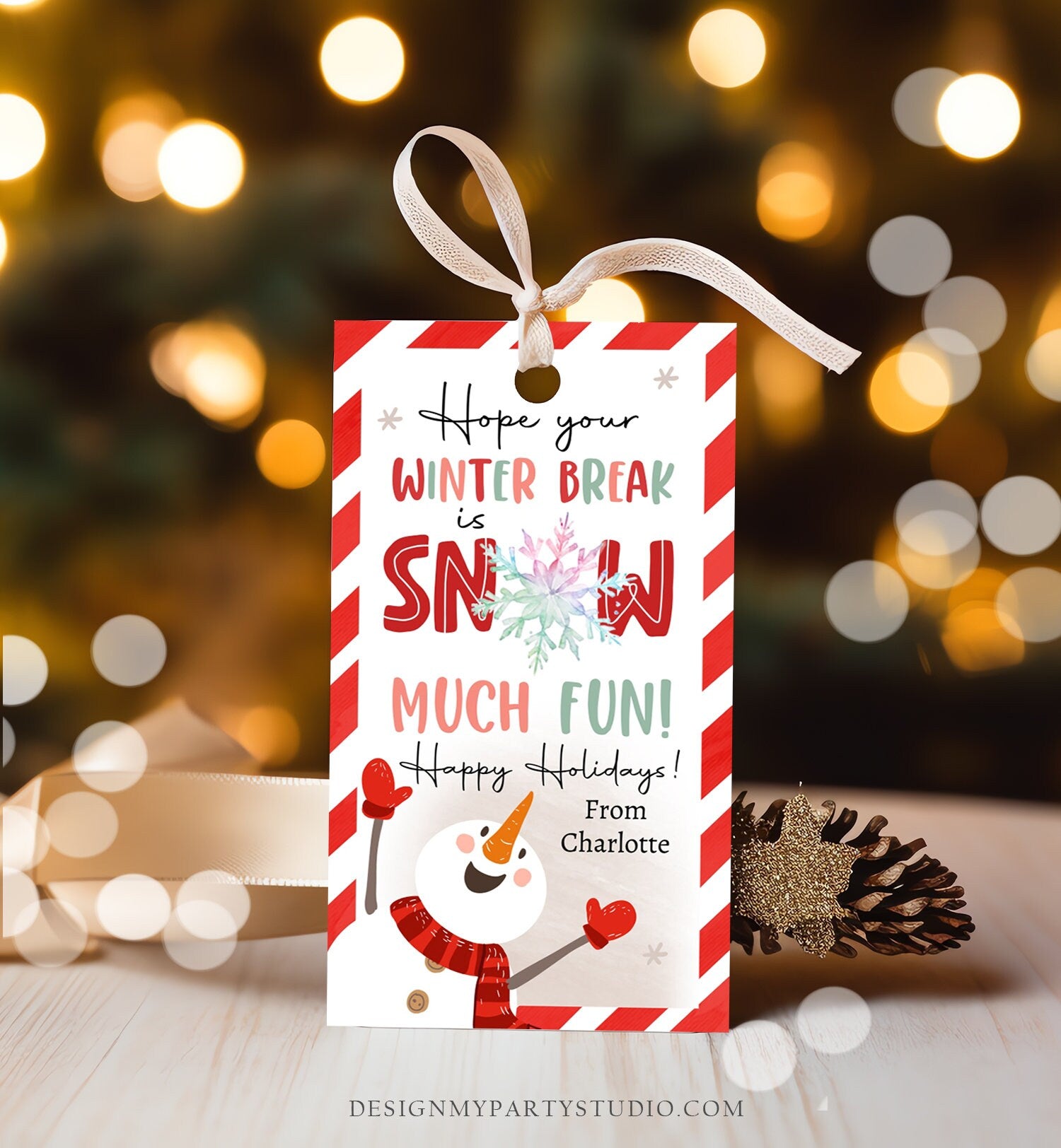 Editable Hope Your Winter Break is Snow Much Fun Gift Tags Christmas Tag Holiday Teacher Student Kids Preschool Kids Printable Corjl 0443