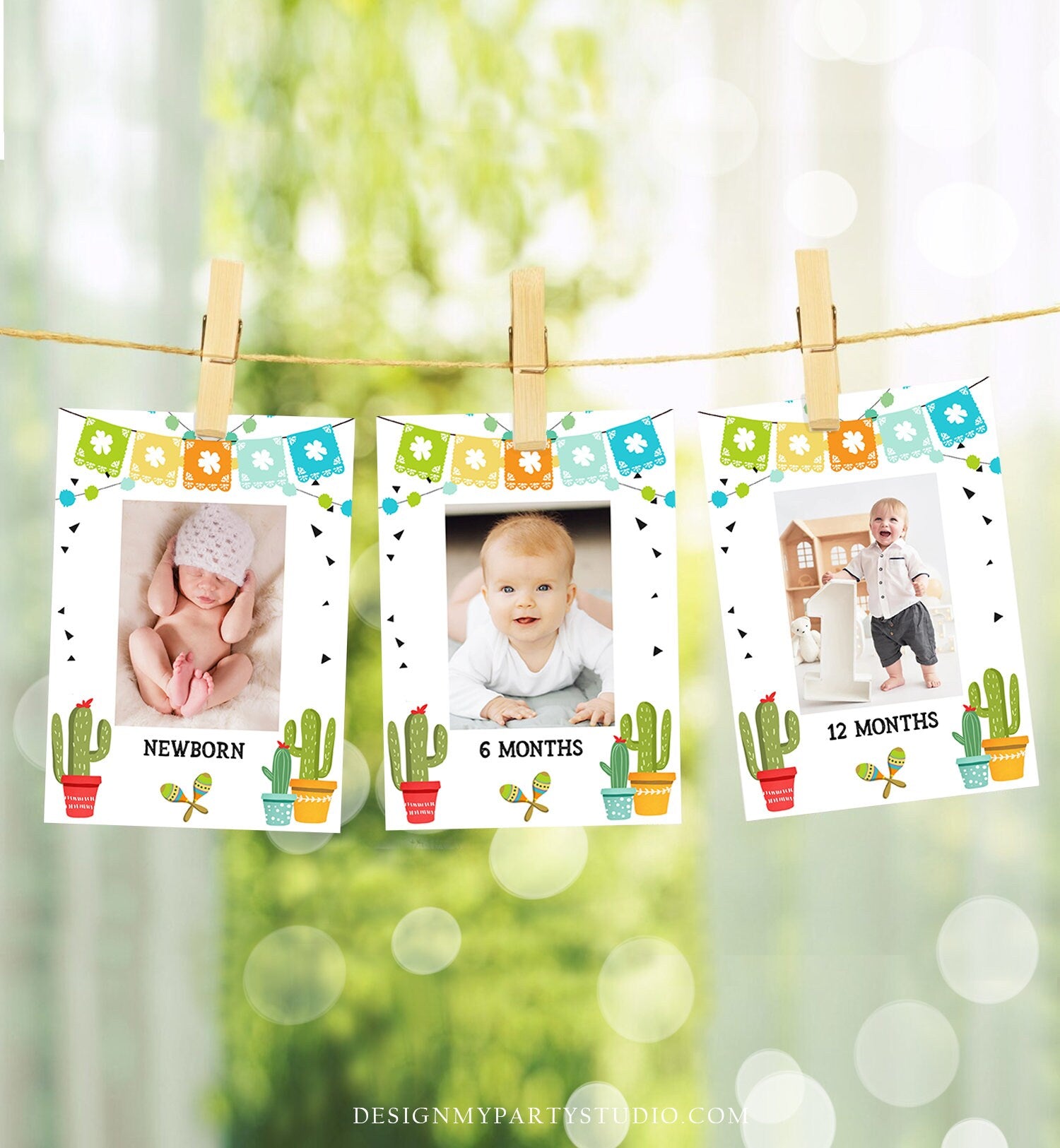 Editable Taco Fiesta Monthly Photo Banner First Birthday Banner Boy Girl Birthday Party Mexican Cactus Decor Summer Corjl Template 0161