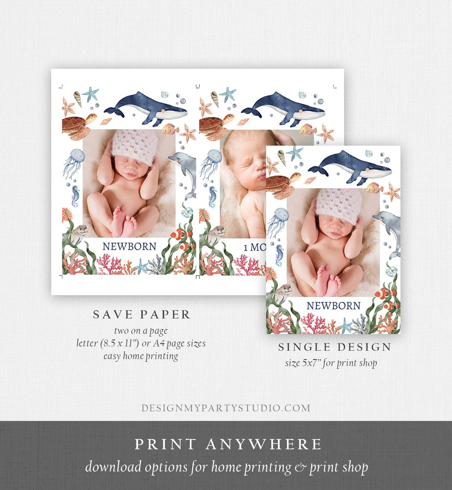 Editable Under the Sea Monthly Photo Banner First Birthday Banner Sea Ocean Life Animals Whale Turtle Dolphin Corjl Template Printable 0504