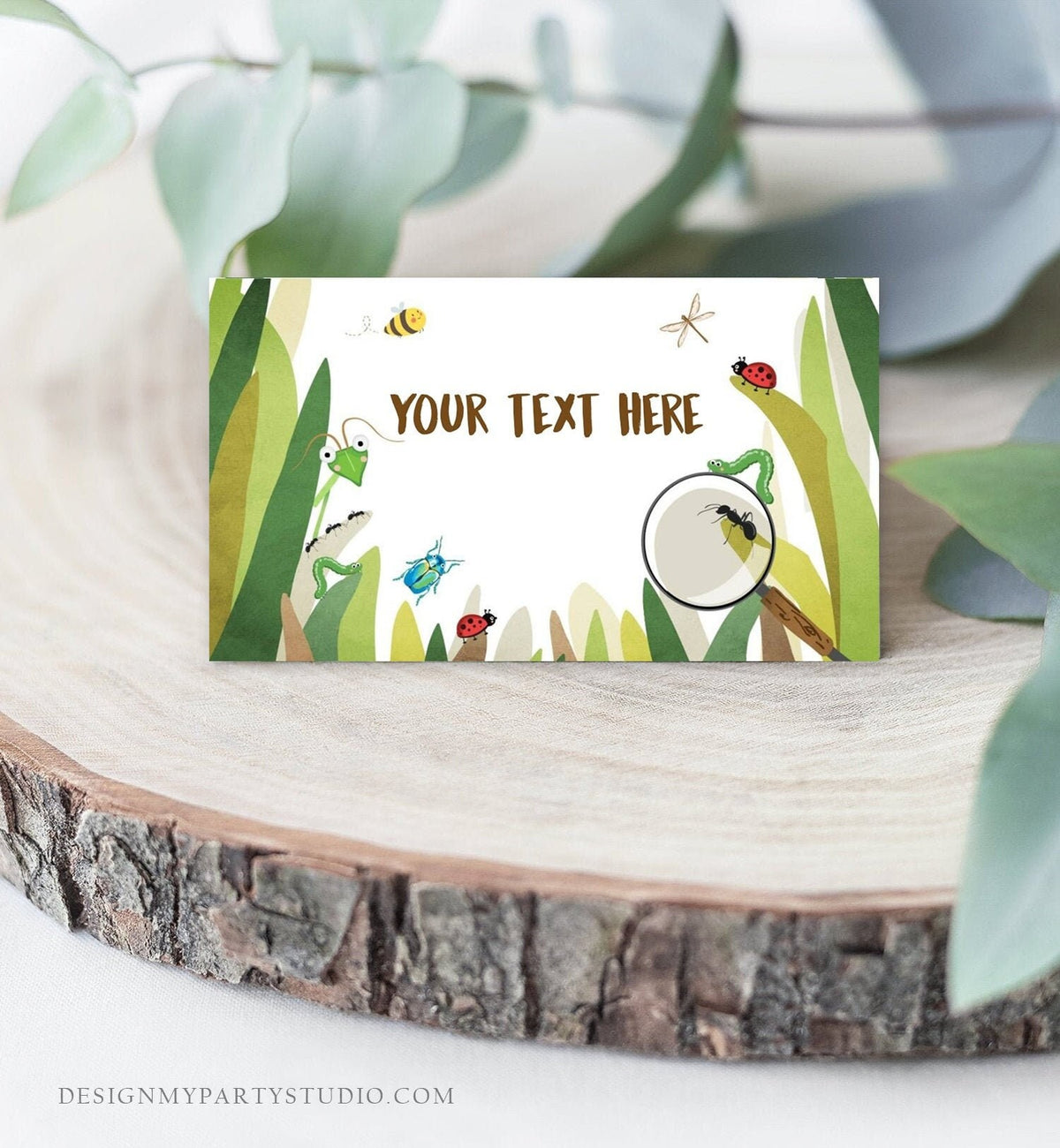 Editable Food Labels Bug Birthday Insect Party Place Card Tent Card Escort Card Bug Boy Bug hunt Bug Party Outdoor Template Printable 0090