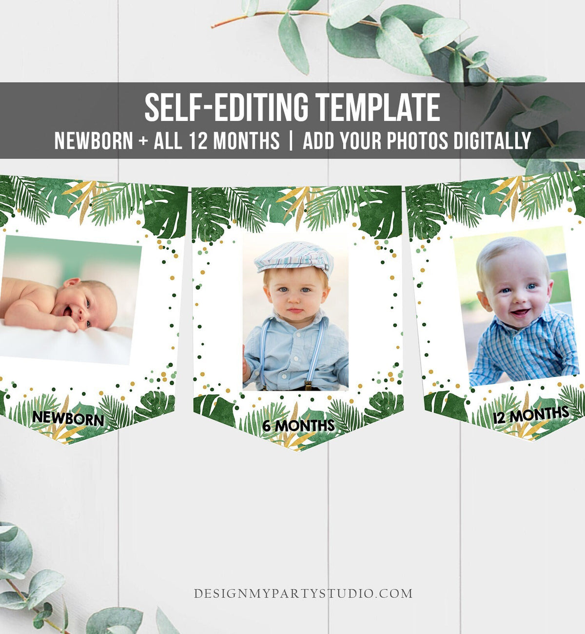 Editable Safari Safari Monthly First Birthday Banner Photo Banner Gold Green Boy Zoo Wild One Digital Download Template Printable 0332