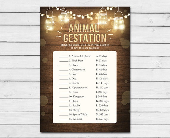 Rustic Lights Baby Shower Animal Gestation Game Cards Wood Mason Jars String Lights Winter Gender Neutral Printable Instant Download 0015