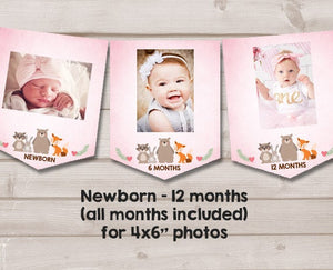 Woodland First birthday banner Monthly Photo Banner Woodland Banner Birthday Forest Animals Pink Girl Birthday Bear PRINTABLE Digital 0010