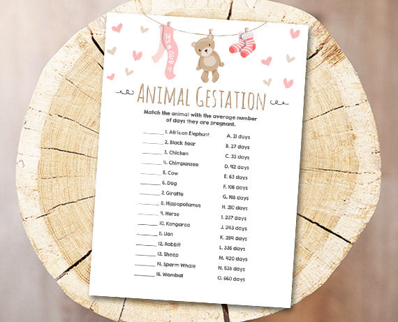 Teddy Bear Baby Shower Game Animal Gestation Game Cards Animal Pregnancy Digital File Printable Baby Game Shower Activities DIY 0025