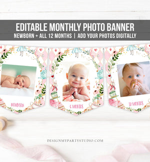 Editable Alice in Onederland First Birthday Banner Monthly Photo Banner Wonderland Tea Party 1st Blue Girl Corjl Template Printable 0350