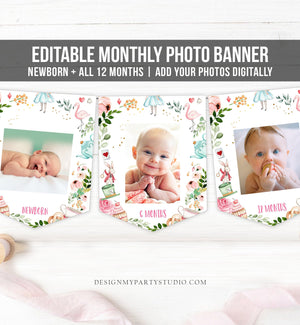 Editable Alice in Onederland First Birthday Banner Monthly Photo Banner Wonderland Tea Party 1st Blue Girl Corjl Template Printable 0350