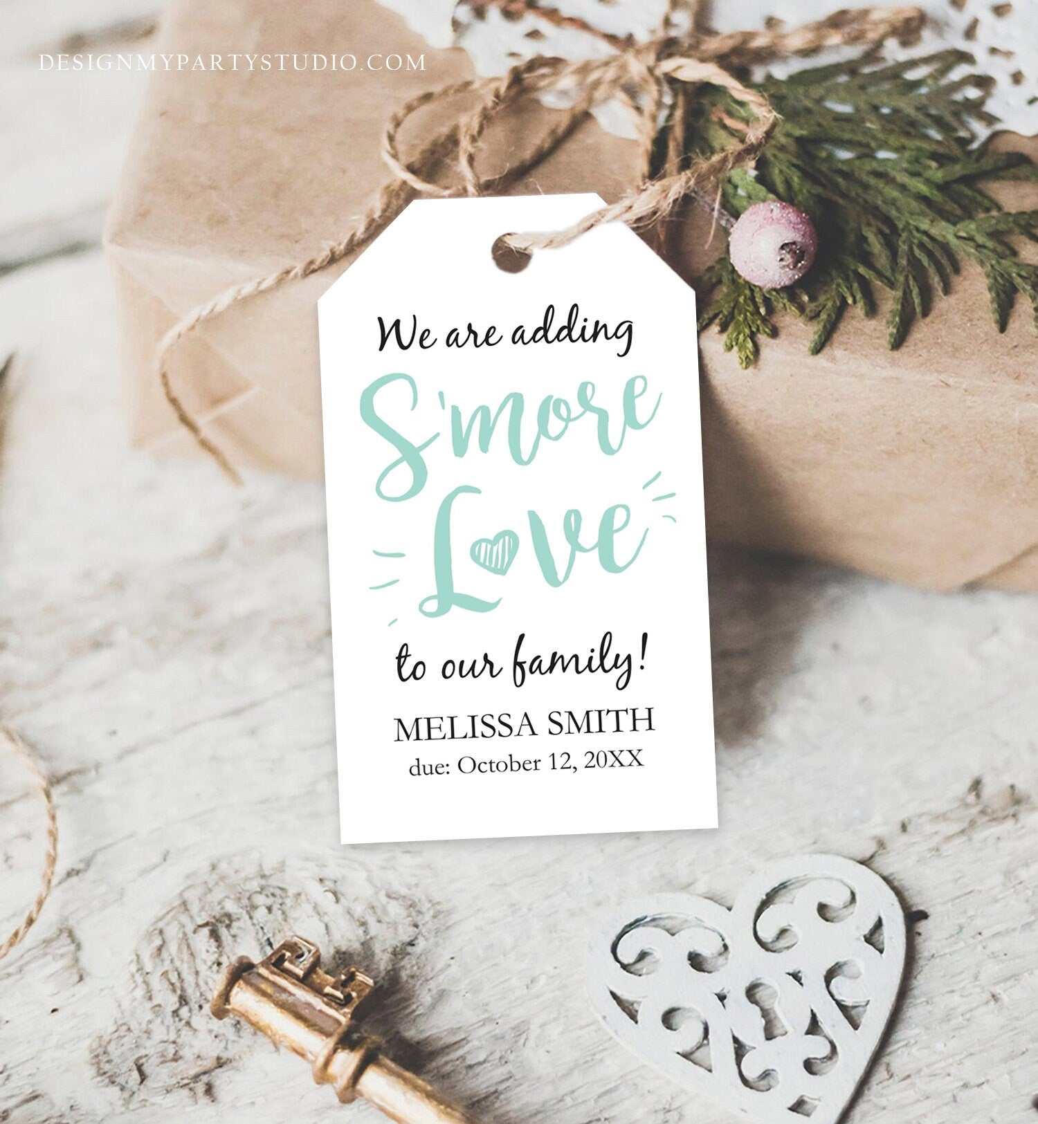 Editable S'more Love Baby Shower Favor Tags Mint We Are Adding Smore Love To Our Family Smores Thank You Tag Printable Corjl Template 0276