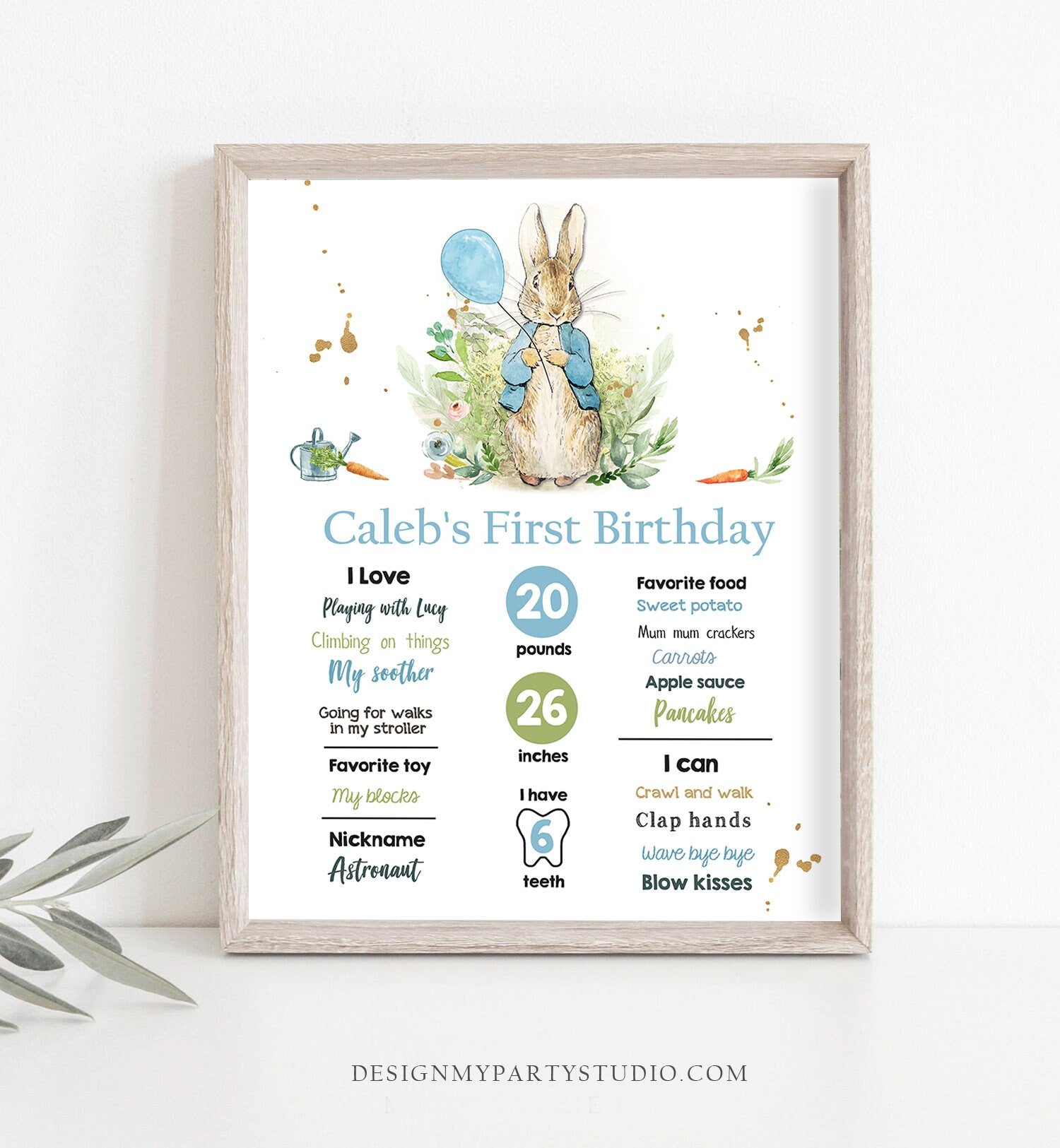 Editable Peter Rabbit Milestones Sign Rustic Blue Boy Peter Rabbit 1st Birthday Watercolor Milestone Poster Template Printable Corjl 0351