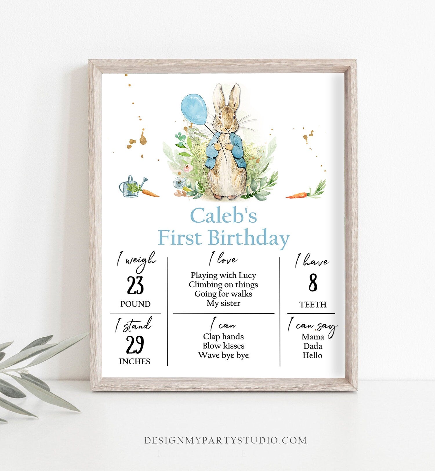 Editable Peter Rabbit Milestones Sign Rustic Blue Boy Peter Rabbit 1st Birthday Watercolor Milestone Poster Template Printable Corjl 0351