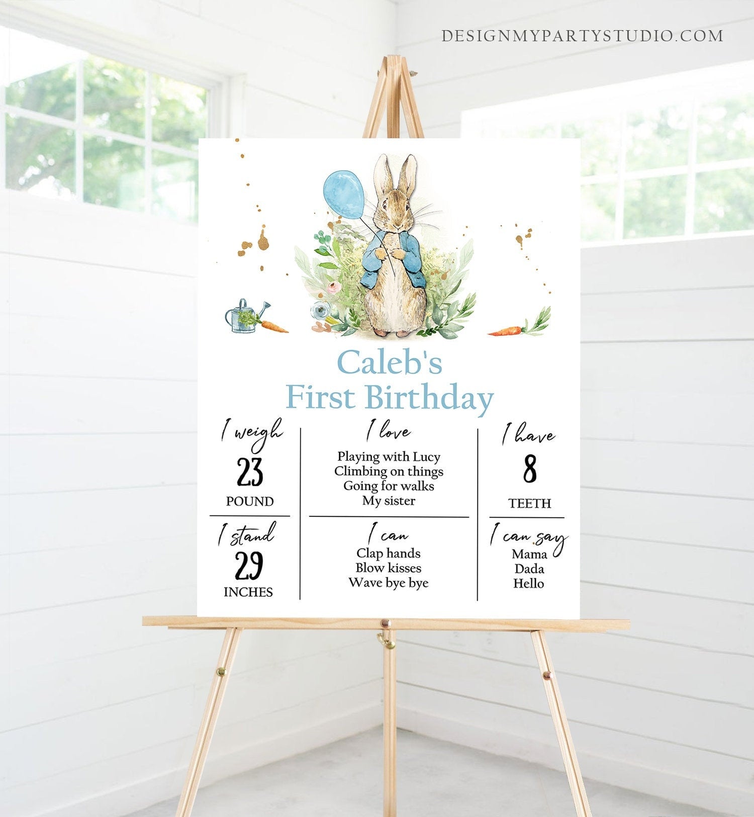 Editable Peter Rabbit Milestones Sign Rustic Blue Boy Peter Rabbit 1st Birthday Watercolor Milestone Poster Template Printable Corjl 0351