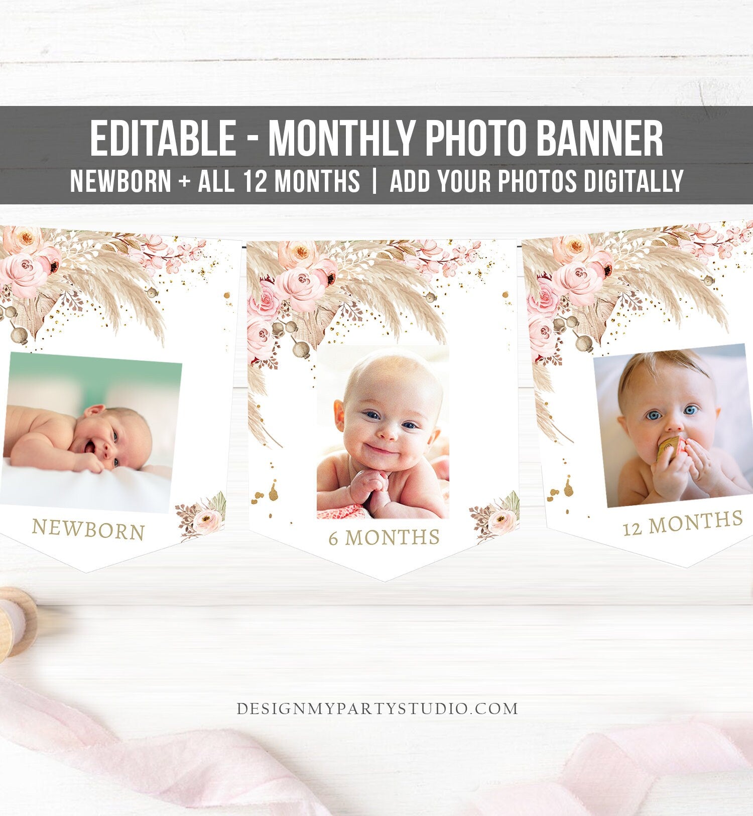 Editable Pampas Grass Monthly Photo Boho Pampas Grass 1st Birthday Banner First Birthday Girl Desert Download Corjl Template Printable 0395